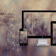 word2010是哪个公司的产品